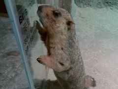 -zoonana室内动物园(东方福来德店)