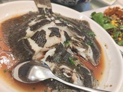 清蒸龙胆-梅园酒店餐厅(西湖店)
