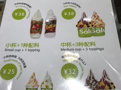 菜单-Salud撒露欧洲冻酸奶(蓝色港湾店)
