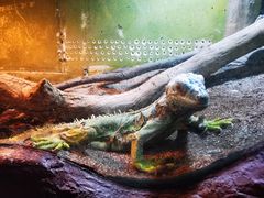 -上海大自然野生昆虫馆