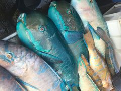 iphone_upload_pic-鸿港海鲜批发市场