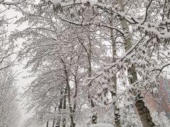 -锦尚阁烤鱼(望京新荟城店)