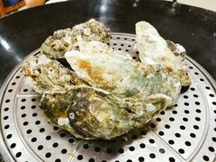 桑拿蚝-蚝专家(北滘店)
