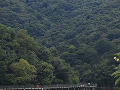-广州市白云山风景名胜区