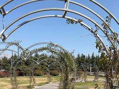 -洛阳市隋唐城遗址植物园