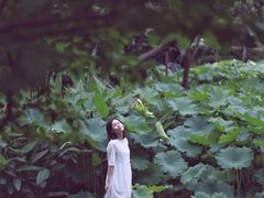 -陈家山荷花公园