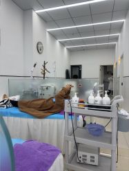 -蕾特恩祛痘•皮肤管理