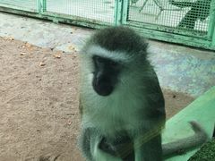 -北京野生动物园