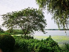 -太阳岛度假酒店