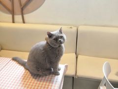 -小时光咖啡馆(北锣鼓巷店)