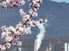 -白水寺森林公园