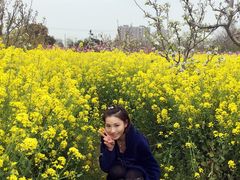 -南汇桃花村
