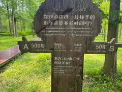 -黄海国家森林公园