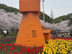 -苏州上方山国家森林公园