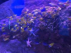 -多彩贵州城极地海洋世界