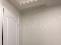 -爱的果实月嫂育婴师(世纪东方店)