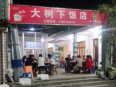-大树下饭店(春晓镇慈岙社区卫生服务站南)