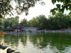-莲湖公园