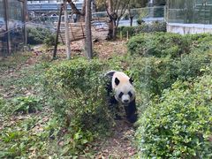 -黔灵山公园