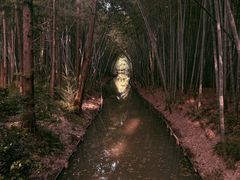 -同里国家湿地公园