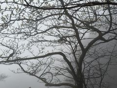 -黄山光明顶山庄