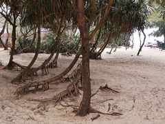 -石螺口海滩