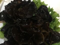木耳-重庆德庄火锅(体育中心店)