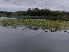 -溱湖国家湿地公园