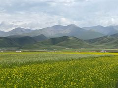 -青海湖国家重点风景名胜区