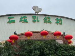 -石岐乳鸽村(桥观坊南四巷店)