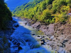 -黑河国家森林公园