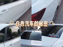 -XPEL旗舰店·汽车贴膜·隐形车衣·改色贴膜