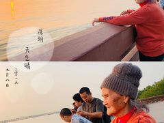 -宝安西湾红树林湿地公园