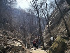 -大岭沟猕猴桃谷风景区