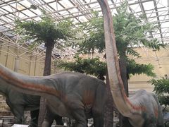 -国家自然博物馆