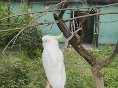 -沈阳鸟岛