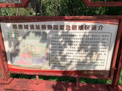 -洛阳市隋唐城遗址植物园