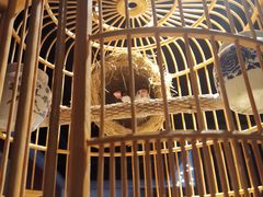 -清真京华源·涮肉烧烤(丰庆店)