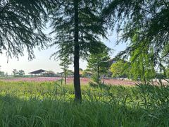 -宁波杭州湾国家湿地公园