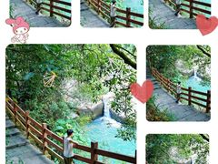 -广州白江湖森林公园