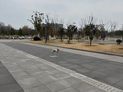 -安徽大学(磬苑校区)