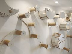 -楼上猫咖(罗湖店)
