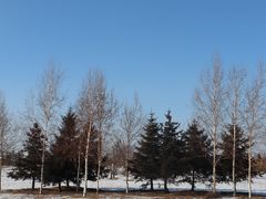-哈尔滨音乐公园