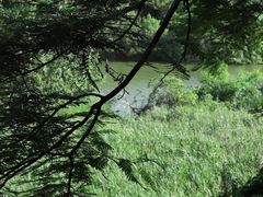 -华侨城湿地公园