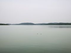 -东湖落雁景区