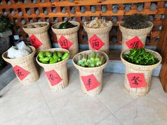 -大鸽饭(马王堆店)