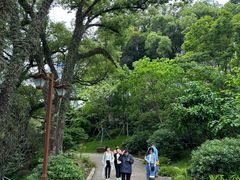 -乌山风景区