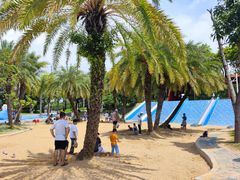 -宝安西湾红树林湿地公园