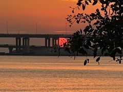 -宝安西湾红树林湿地公园