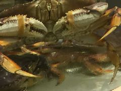 -白金汉爵大酒店(相城店)